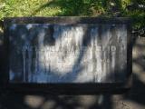 image of grave number 499618